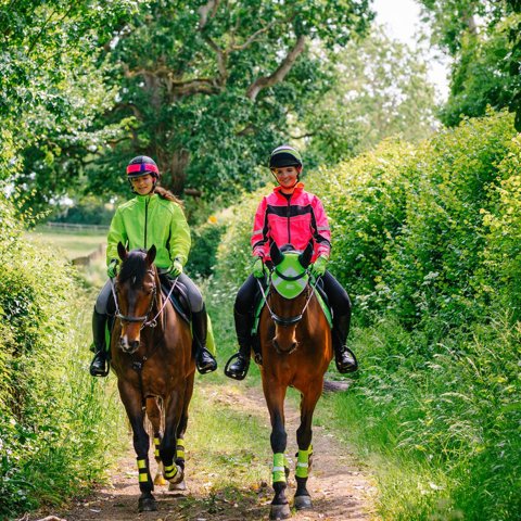 Horses And Riders In Hi Vis Hacking