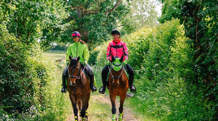 Horses And Riders In Hi Vis Hacking