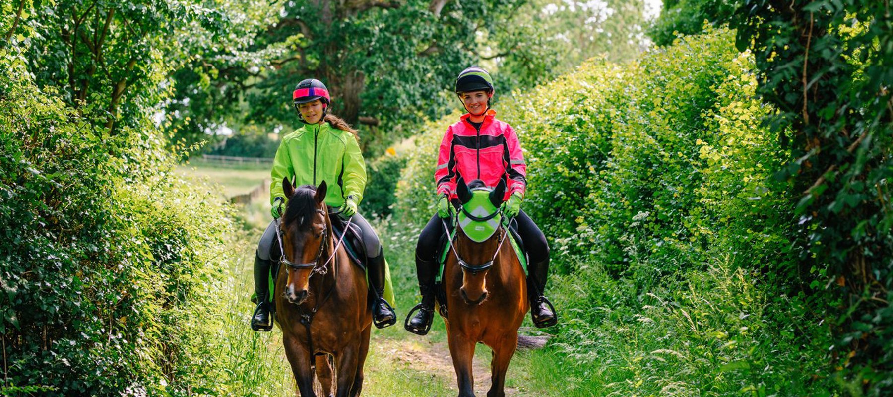 Horses And Riders In Hi Vis Hacking