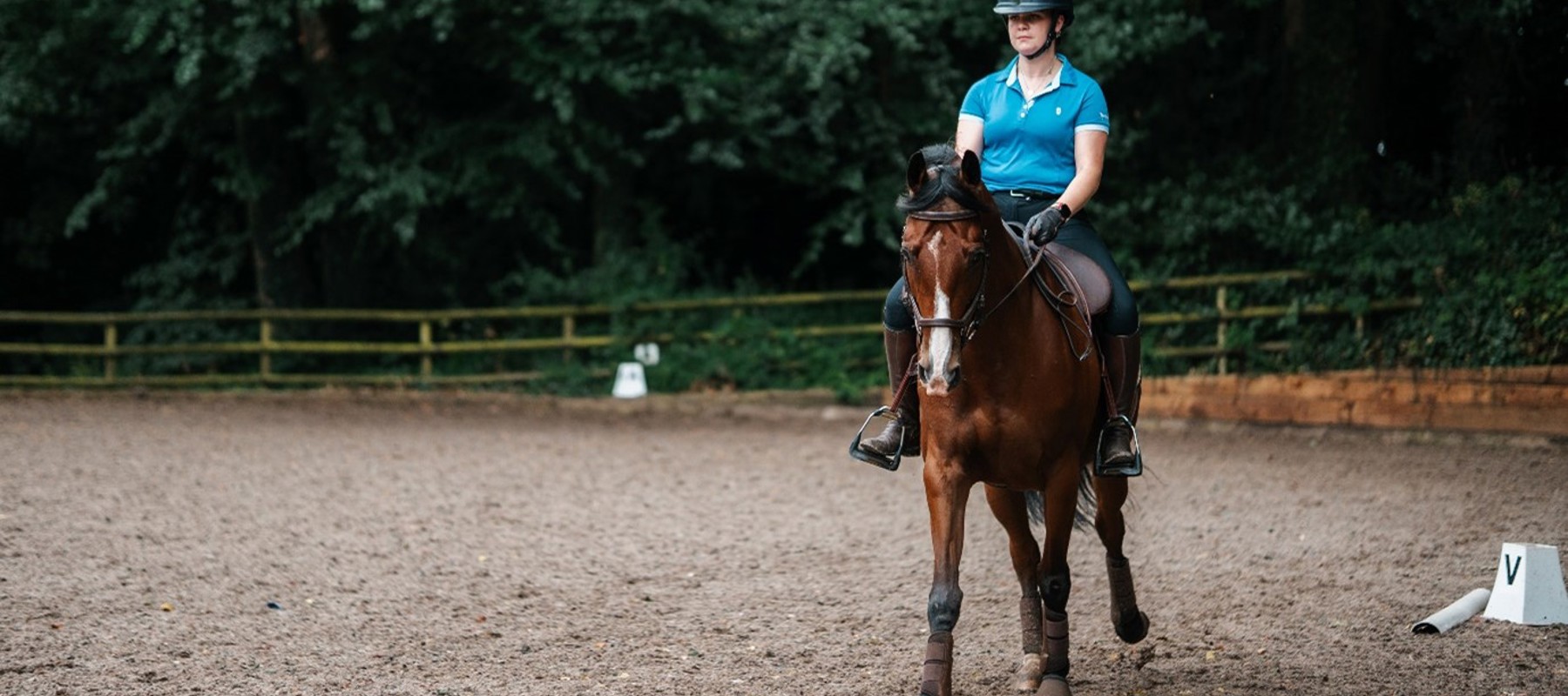Woman Riding Bay Horse