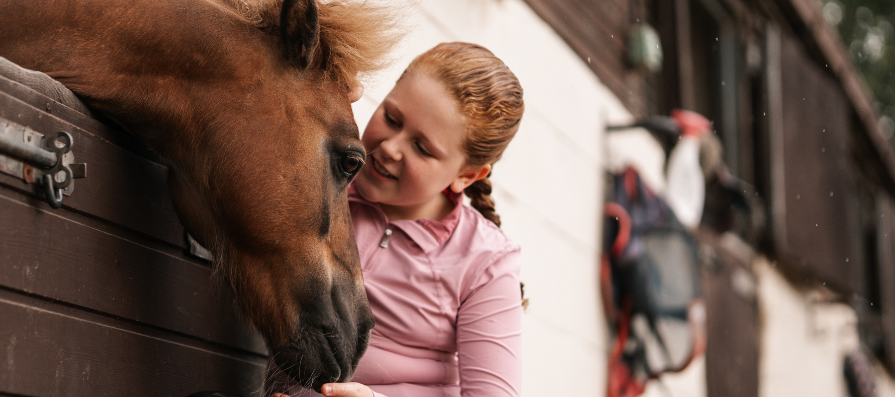 BHS Swallowfield Junior And Pony