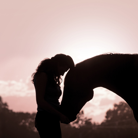 What If Campaign Image Lady And Horse Affection