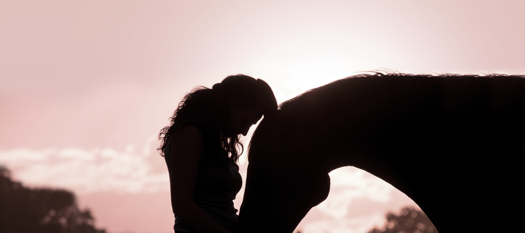 What If Campaign Image Lady And Horse Affection