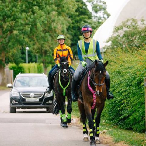 Horses And Riders In Hi Vis Hacking On The Road