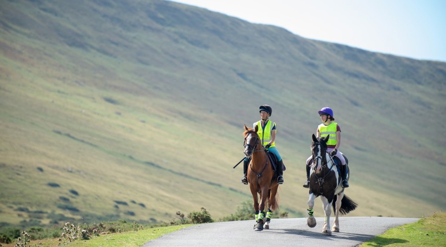 Two horses and riders on narrow road with upland hillside behind in gentle sunshine