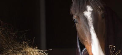 Slide 29 Feeding Header Picture Jon Stroud Media Ww