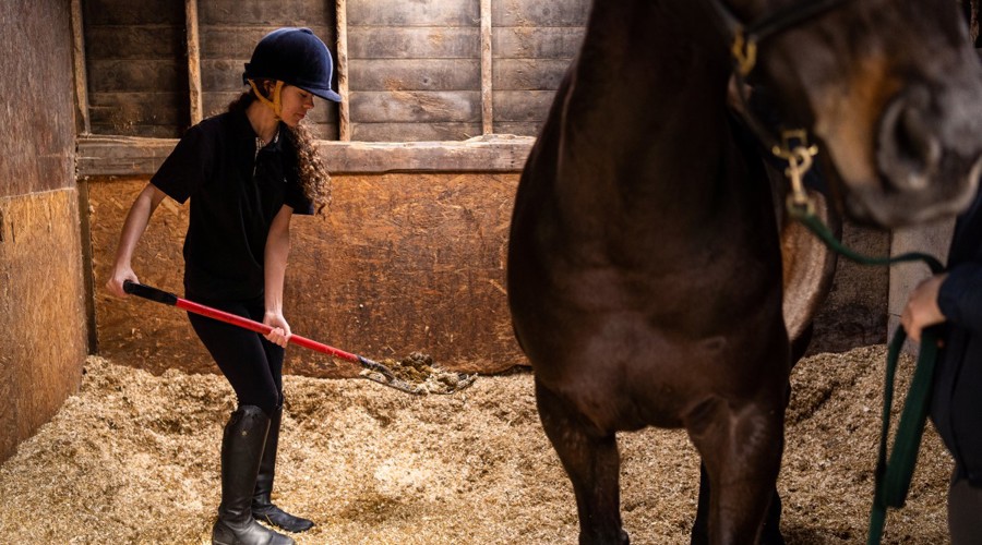 woman collecting waste horse stables