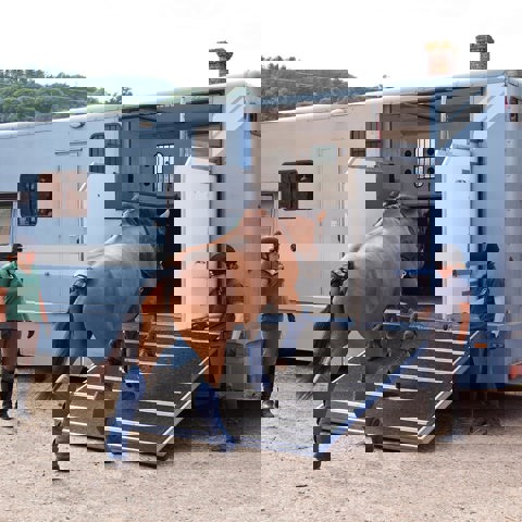 Microsoftteams Image (4)