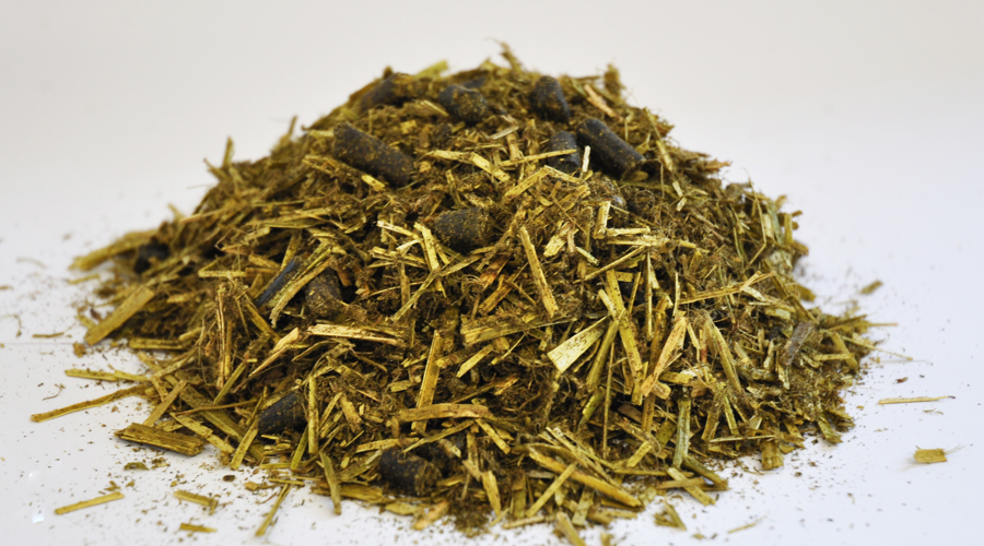 Close up of Dengie Healthy Tummy