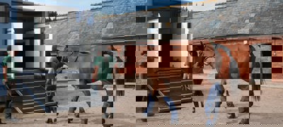 Microsoftteams Image (3)