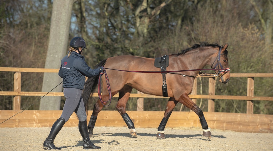 Image Lunge