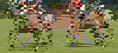 Alt Ratio 16X9 1X 21 05 May 28 Have A Go At Polo 1