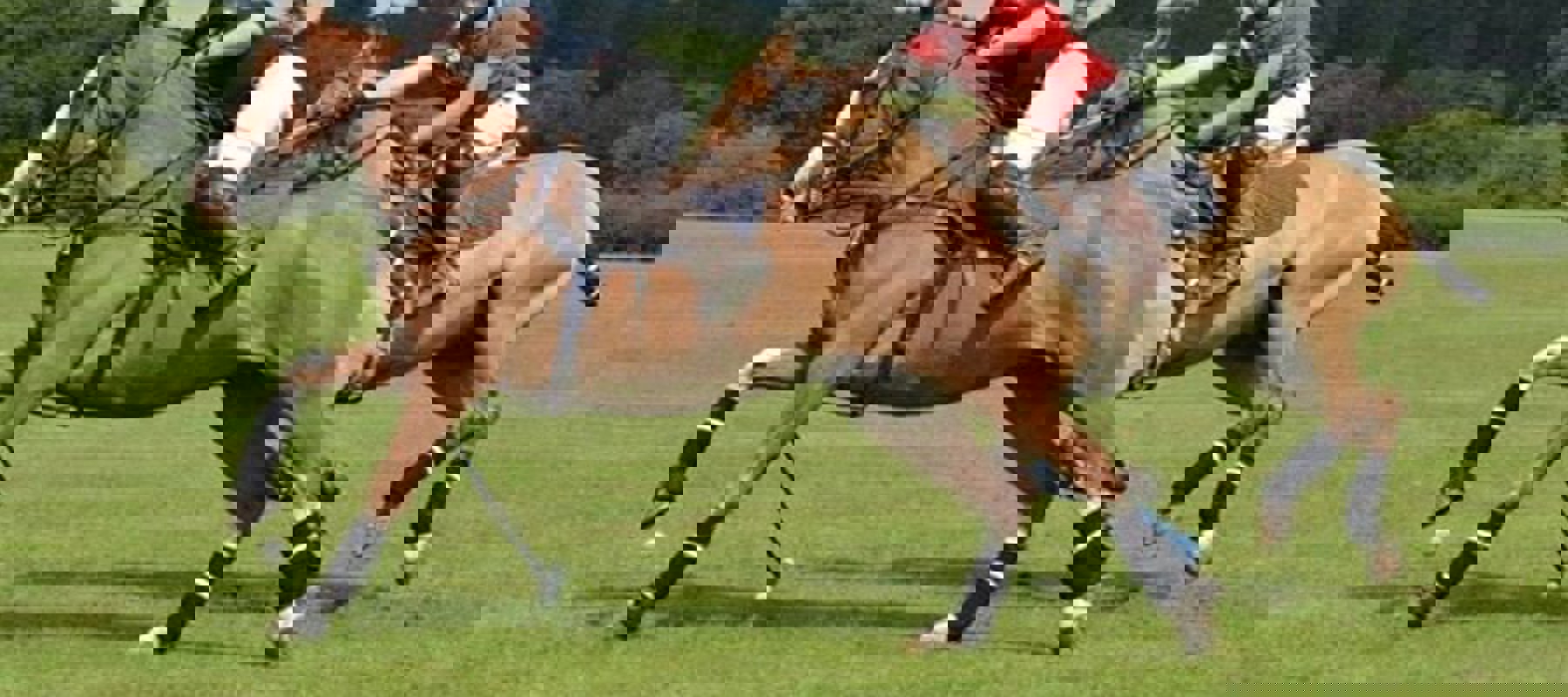 Alt Ratio 16X9 1X 21 05 May 28 Have A Go At Polo 1