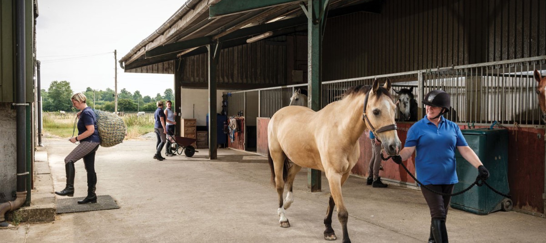 Handling Your Horse