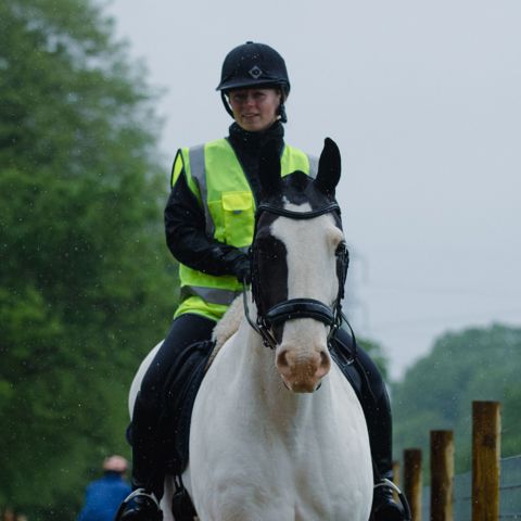 rider on a horse wearing hi vis
