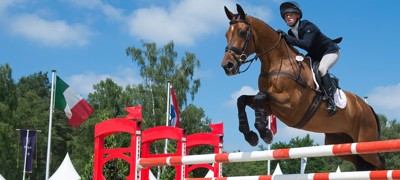 horse showjumping