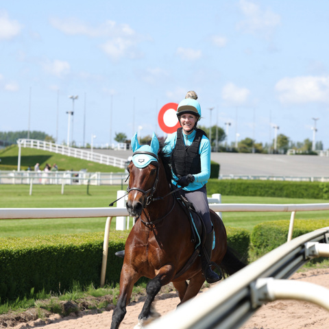 0Y1A1344{Found Images Tuesday