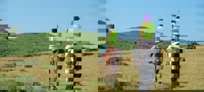 Hacking