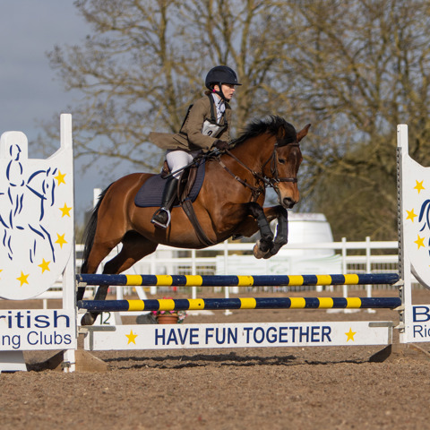 Showing Jumping Championships 2