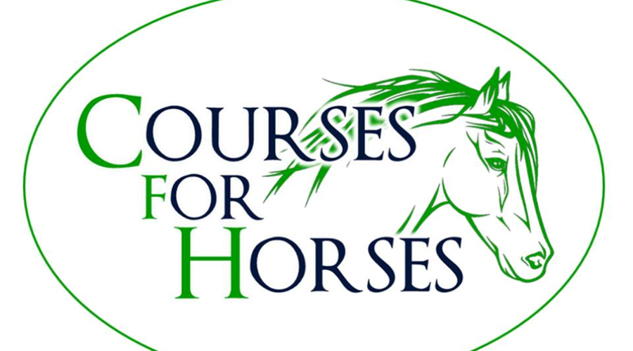 Logo Cropped