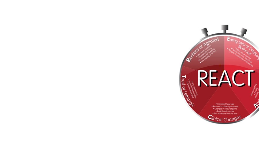 Colicreact Clock