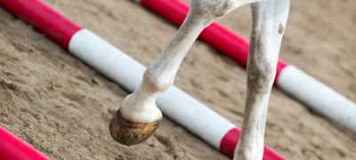 Large Polework