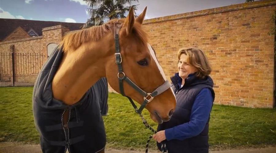 7B357164 Cb7b 4B79 A08f 67Ef83a55e71