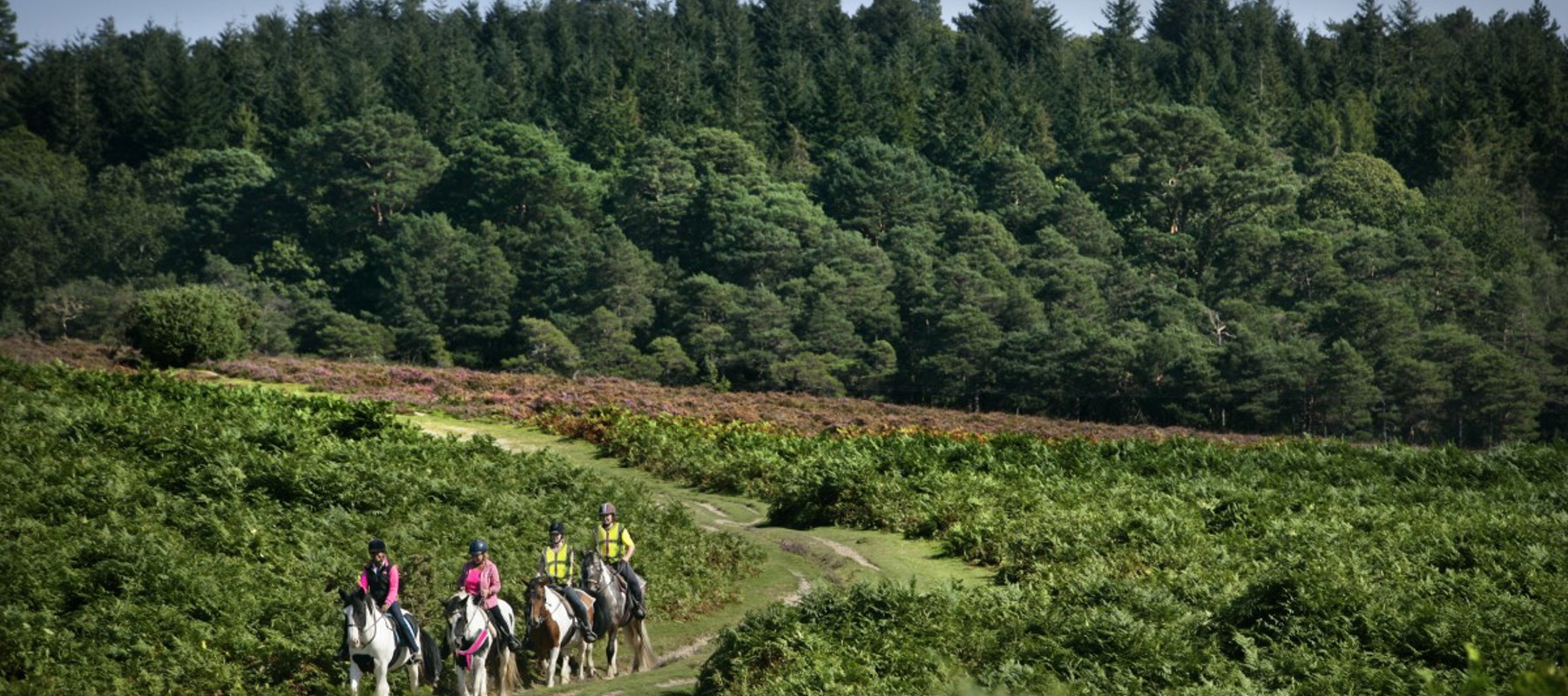 Ride Out UK Hack In The Countryside