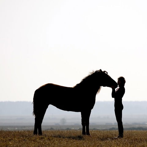 Horse And Rider In Countryside Shutterstock 11585581