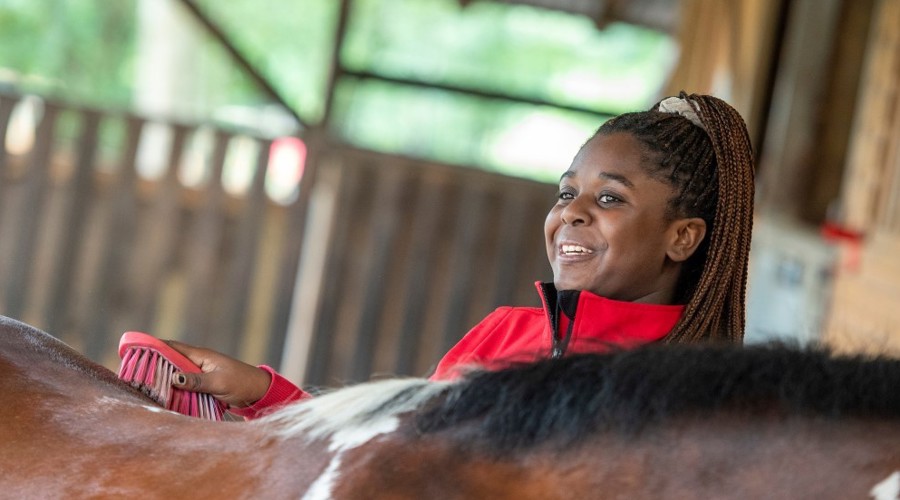 girl grooming horse