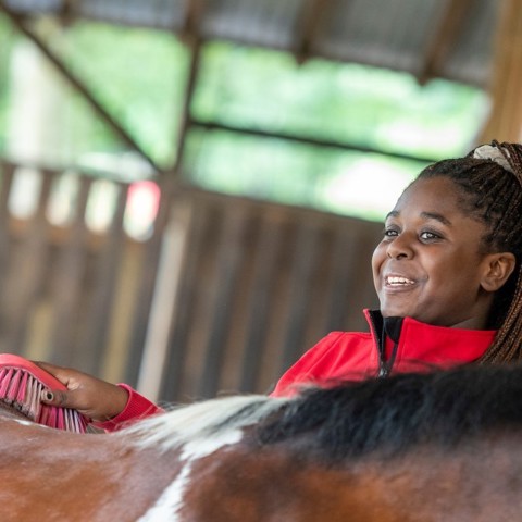 girl grooming horse