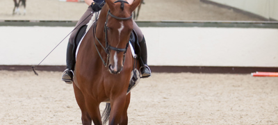Riders Prof Flatwork Highresolution 7237