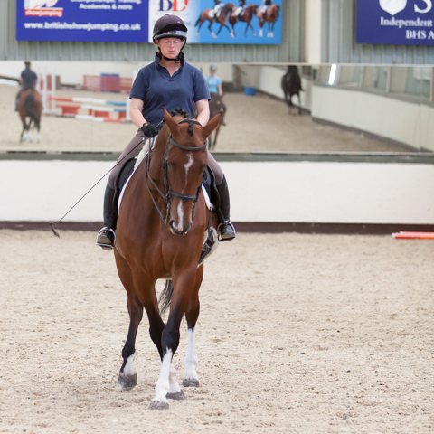 Riders Prof Flatwork Highresolution 7237