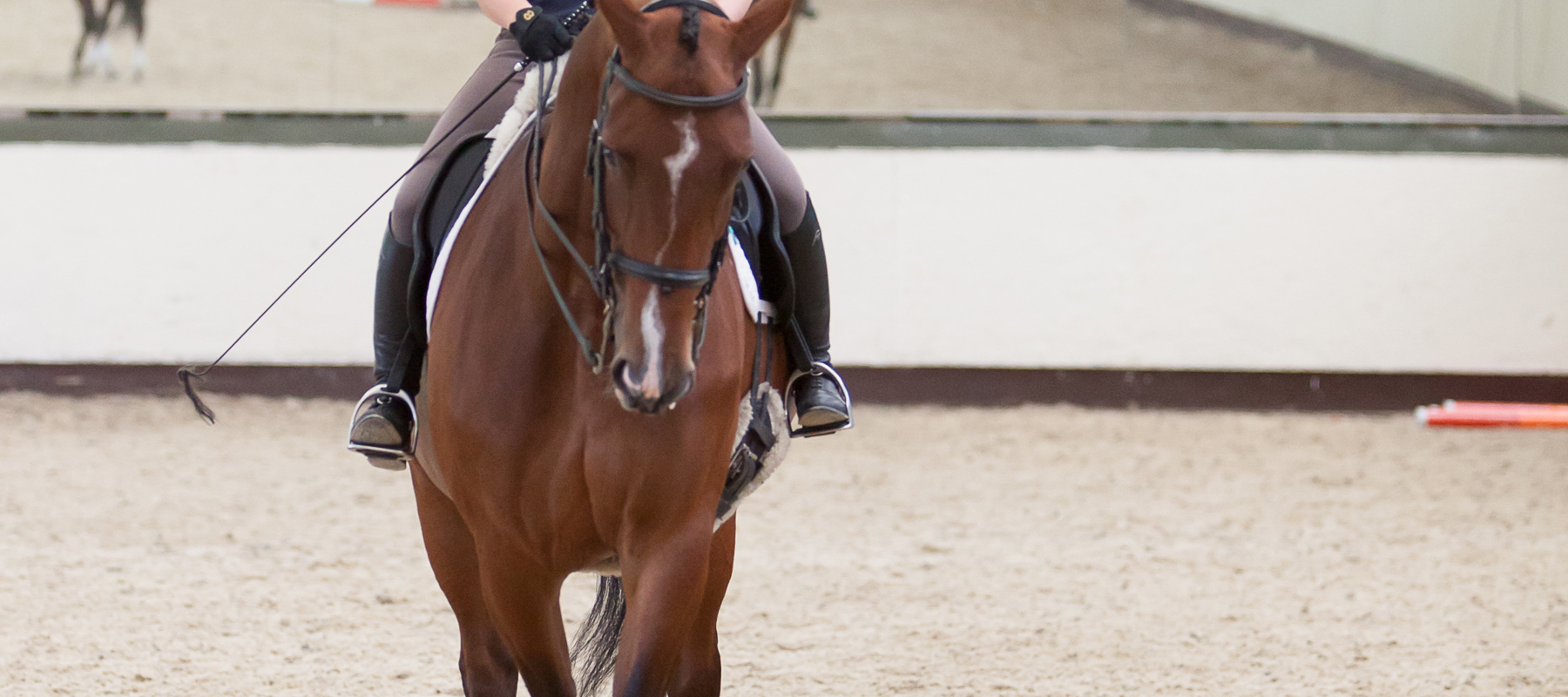 Riders Prof Flatwork Highresolution 7237