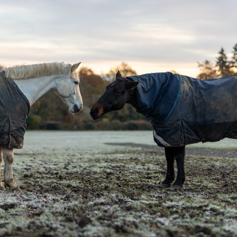 BHS Wellington Photos 144