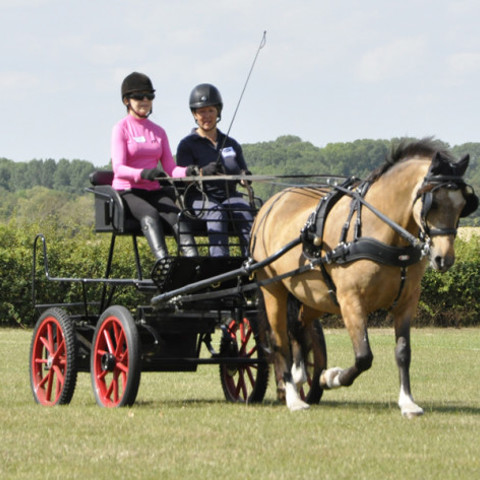 Event Description Image 89681 1704379221 A4d8d