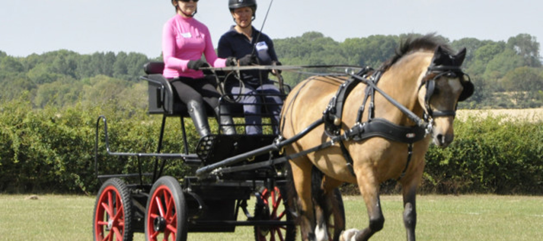 Event Description Image 89681 1704379221 A4d8d