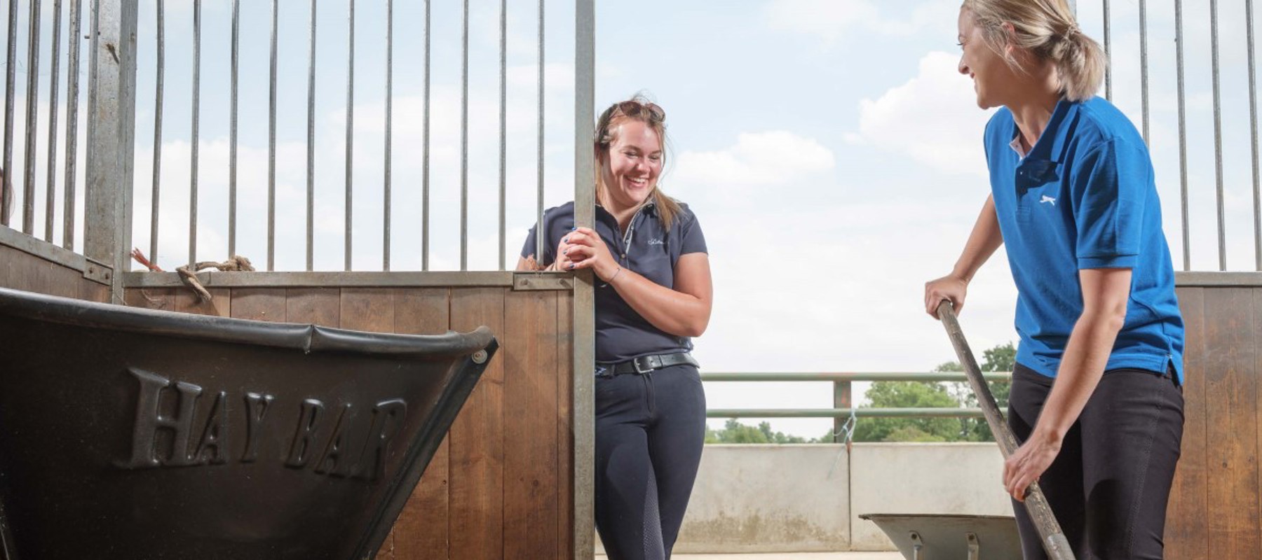 Caring For Your Horse
