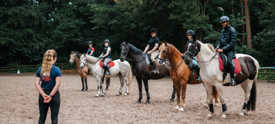 BHS Ingestre 300