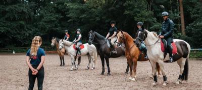 BHS Ingestre 300