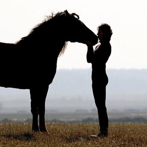 Horse And Rider In Countryside