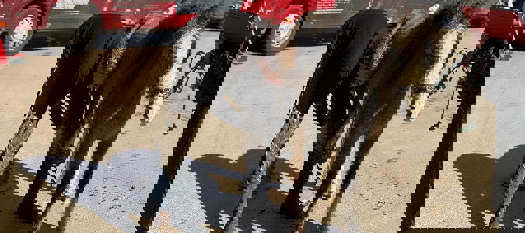 685A66be Db65 49E1 8Ead B62326ee3300