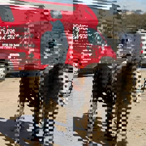 685A66be Db65 49E1 8Ead B62326ee3300