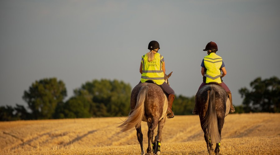 two riders riding out at sunset