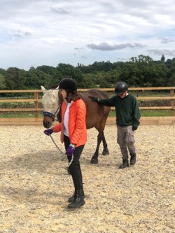 Young female in orange jacket leads a brown pony with a fly mask on, young male in green jumper has his hand rested on pony's back