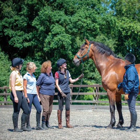 people and a horse