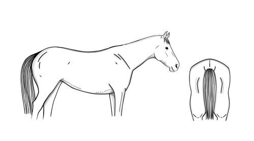 3 – healthy (good)