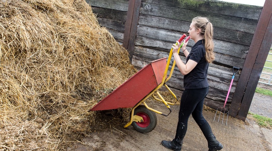 Emptying Wheelbarrow