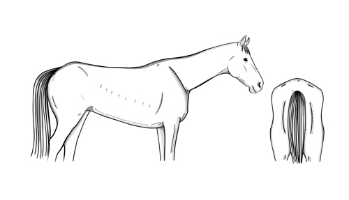 2 – moderate (lean)