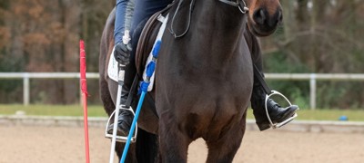 Mounted Games